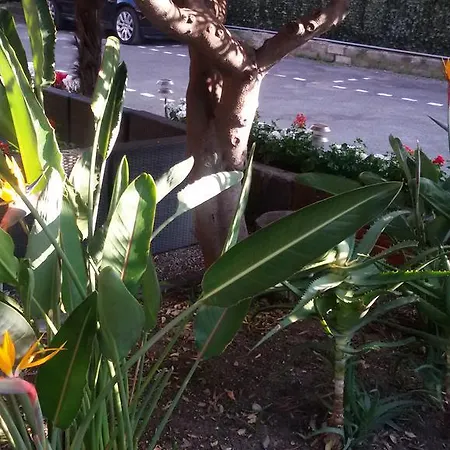 La Scogliera 3* Bordighera