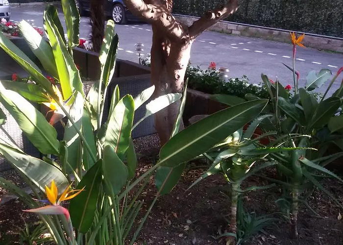 La Scogliera 3* Bordighera